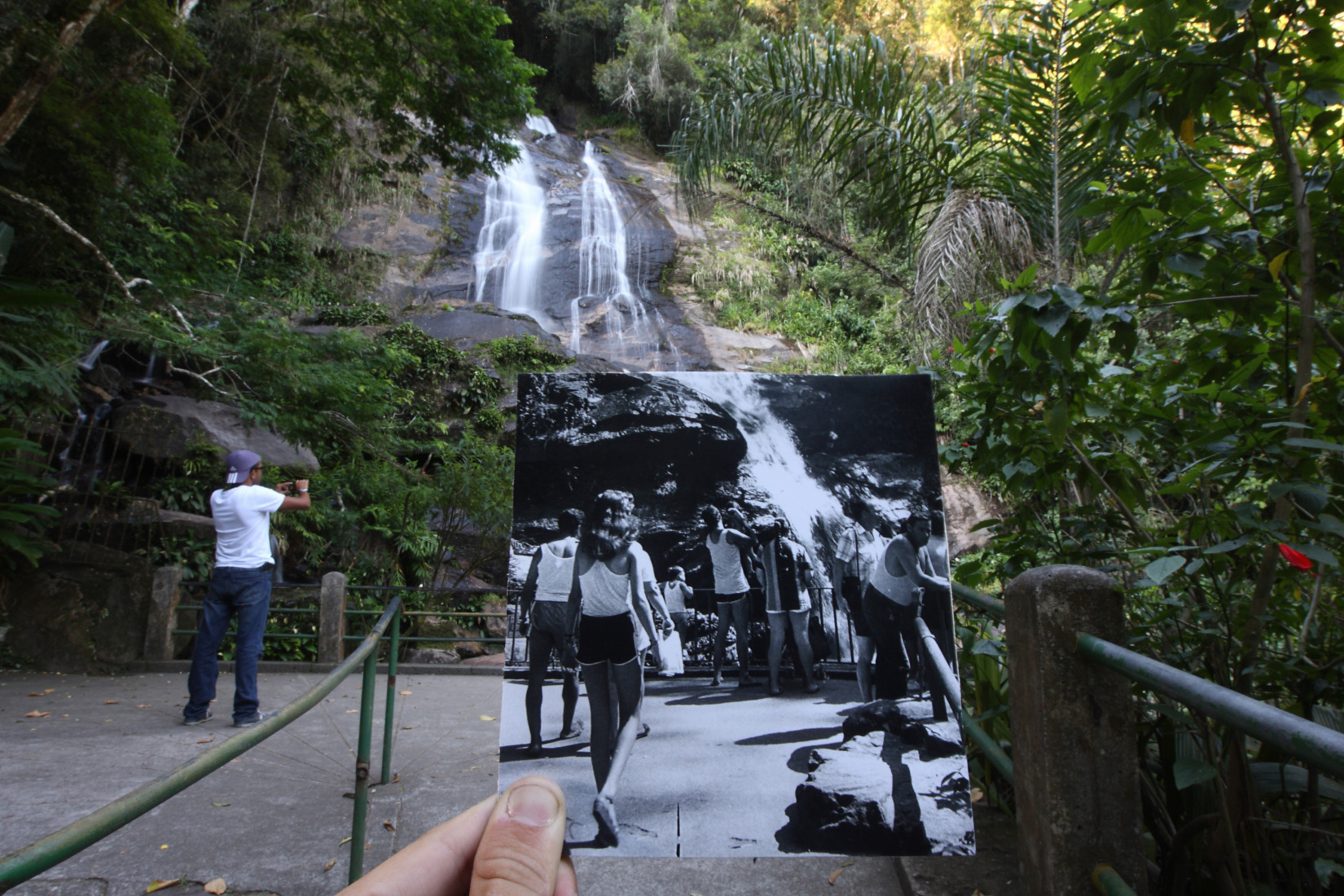 Floresta da Tijuca
