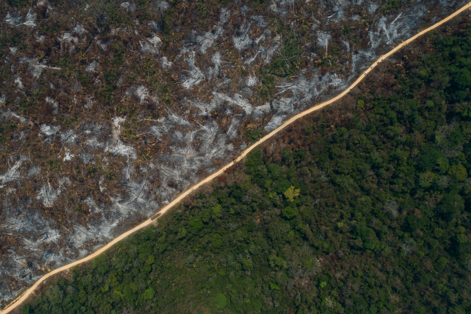 Amazon rainforest wildfires