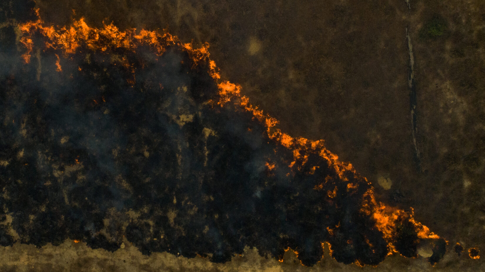 Amazon rainforest wildfires