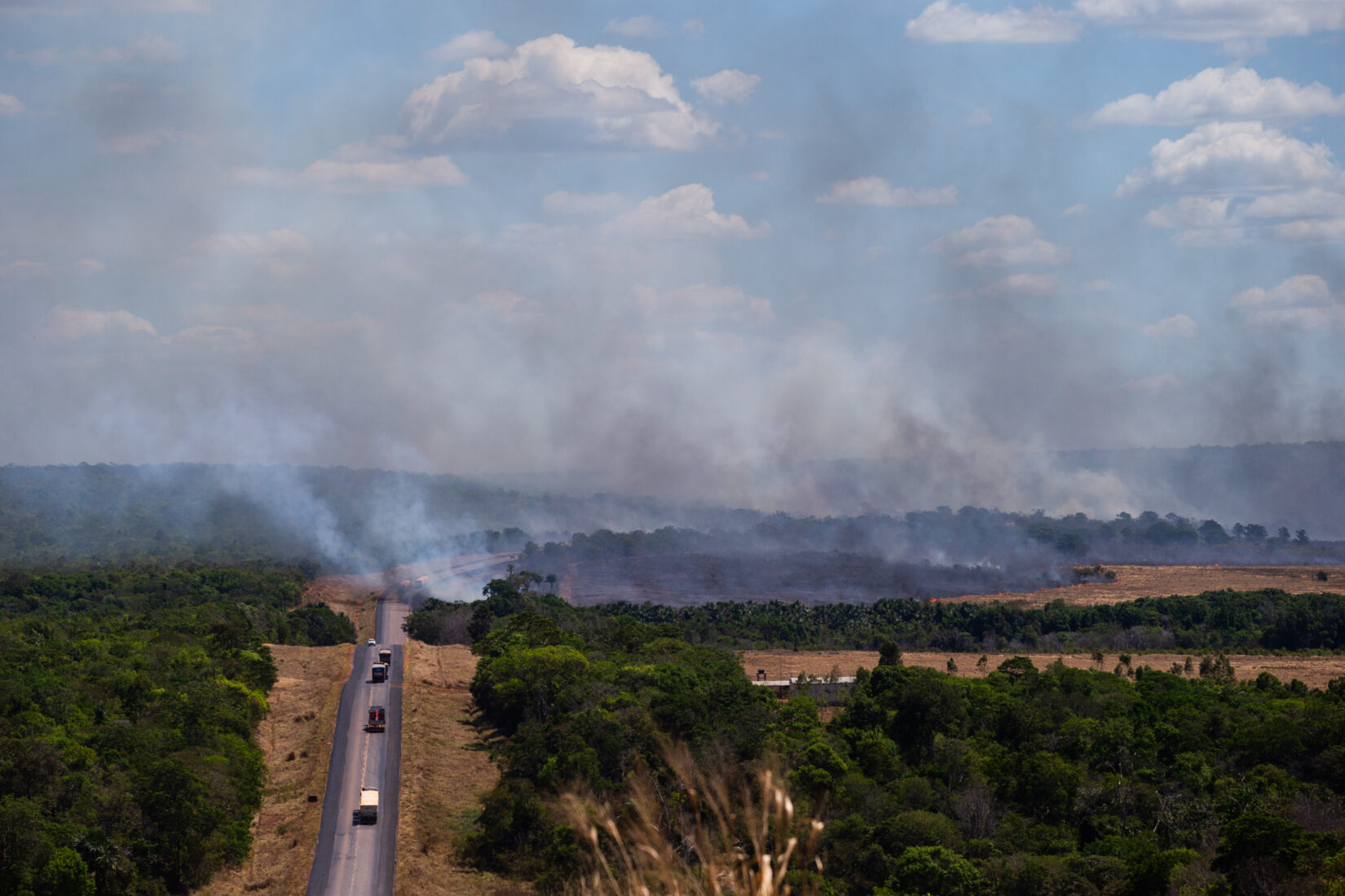Amazon rainforest wildfires
