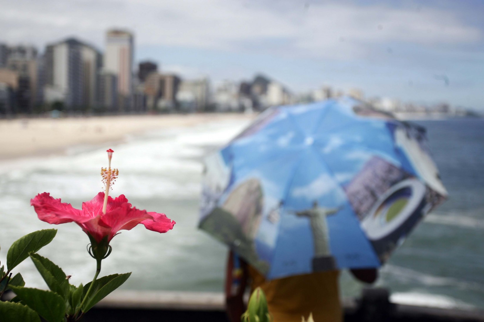 Flor e mirante